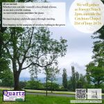 Quartz Forest Church meeting info. 2pm outside the Crichton chapel. 21st of June